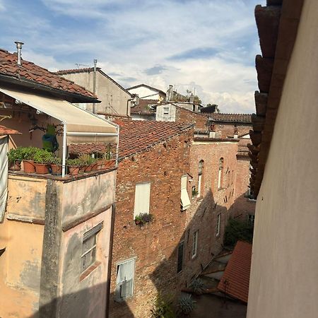 La Casa Del Galletto - At The Top Of The City Lucca Exteriör bild